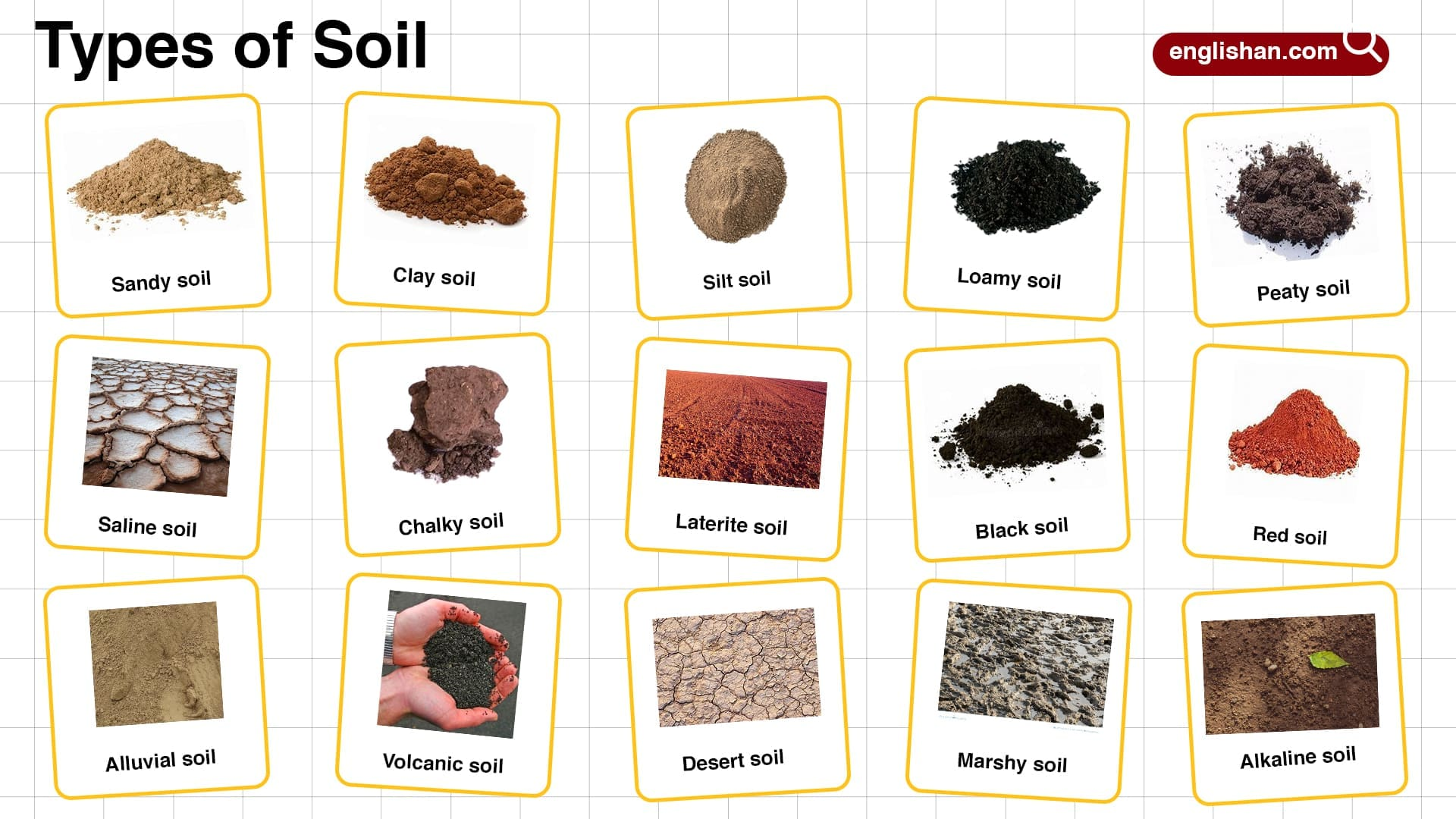 soil image